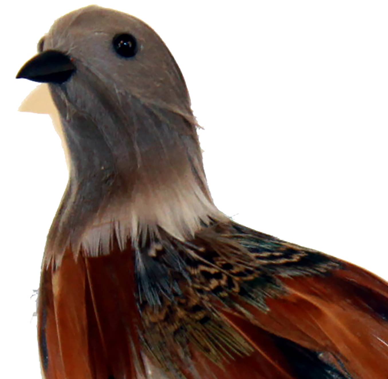 Turtledove with Clip- 6" Feathered