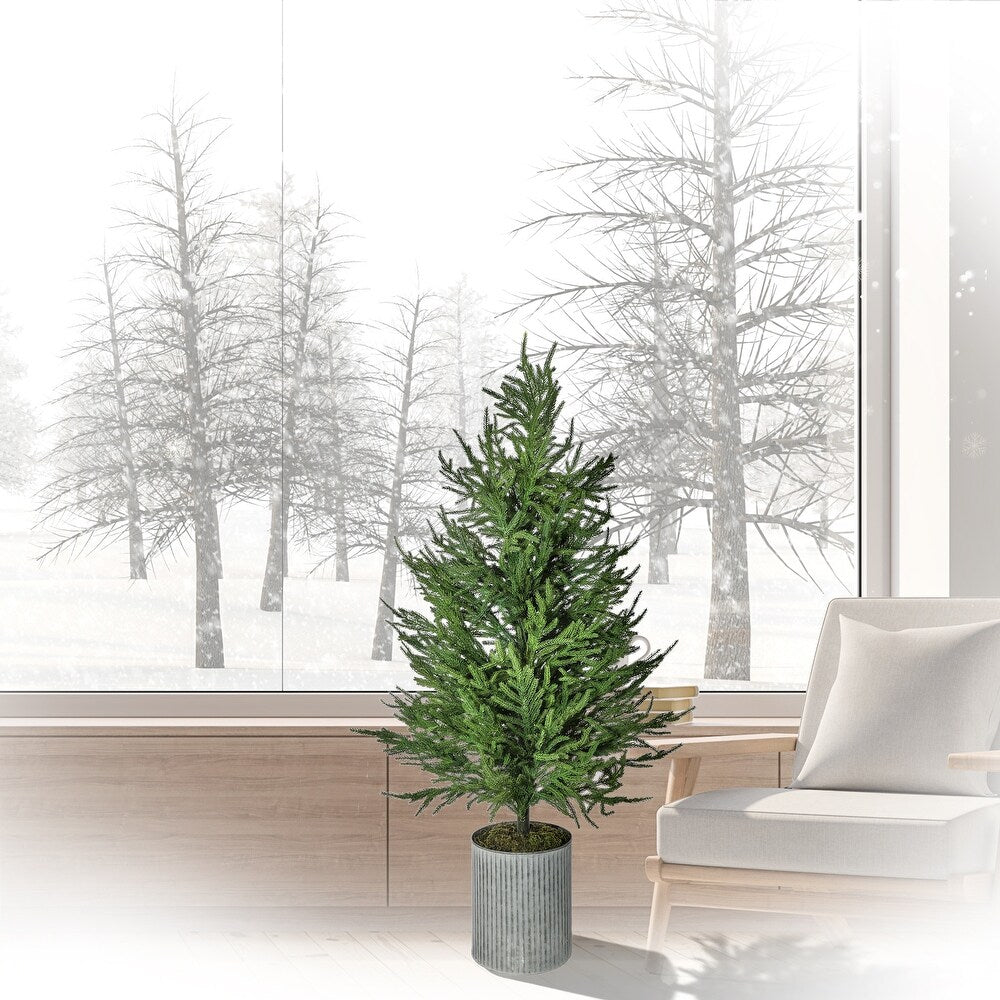 Pine Tree- 28" Potted Norfolk
