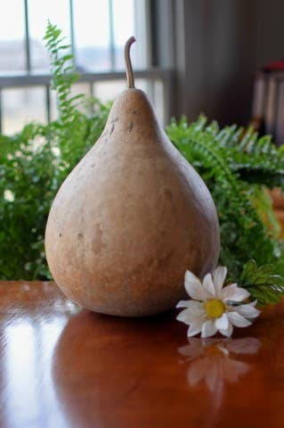 8" Martin Dried Hard Shell Gourd - For Decorating & Crafting
