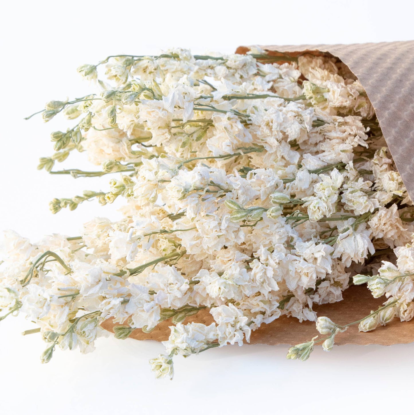 Assorted Dried Larkspur Flower Bundles