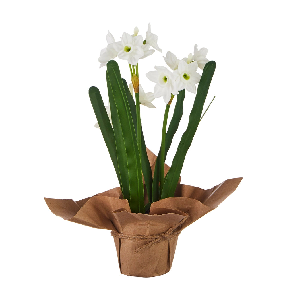 potted paperwhites-real touch