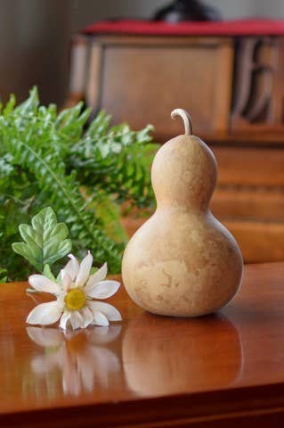 4" Bottle Dried Hard Shell Gourd - For Decorating & Crafting