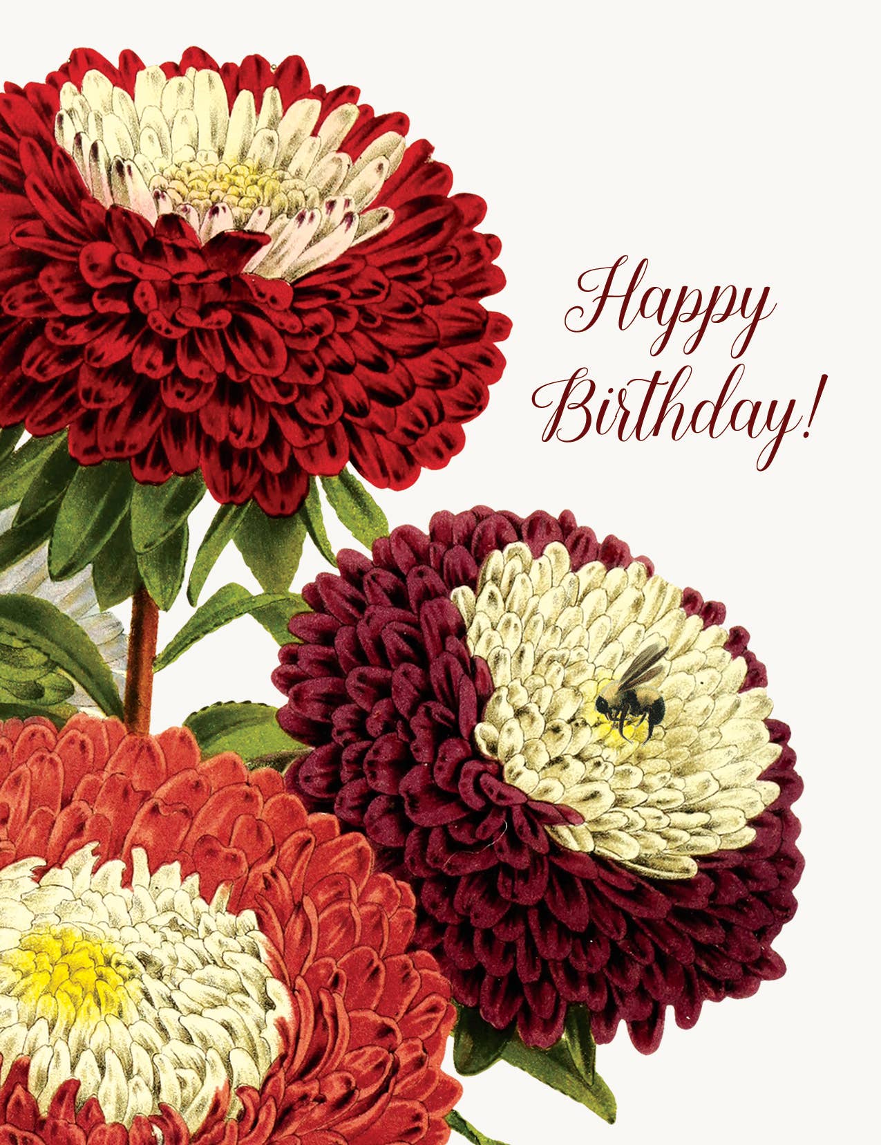 Happy Birthday! • A-2 Greeting Card