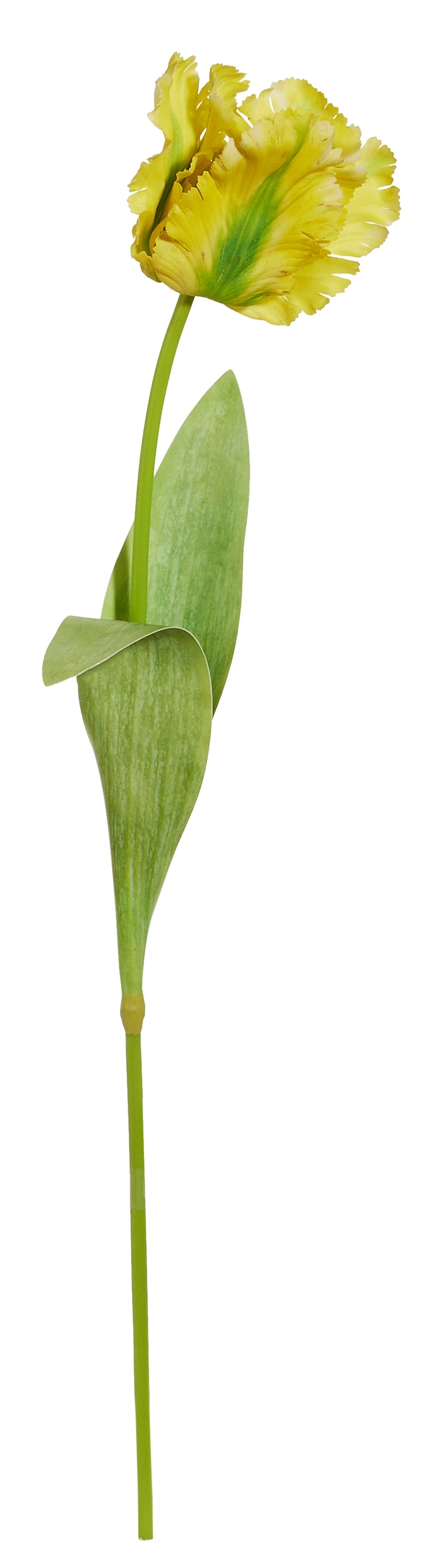 Real Touch Orange/ Yellow Parrot Tulip Stem- 28"