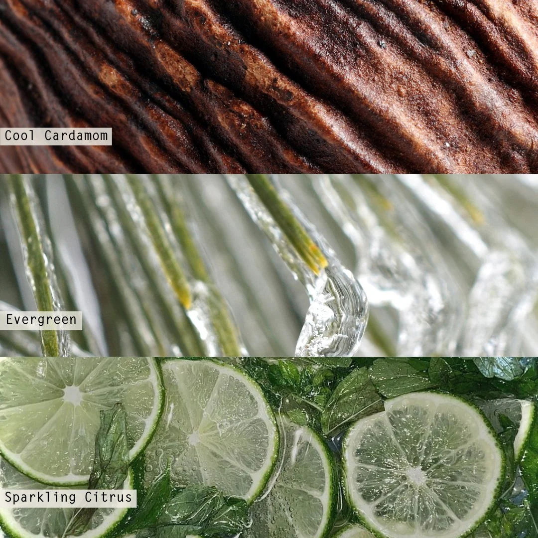 Winter White Demi Vanity Tin Candle