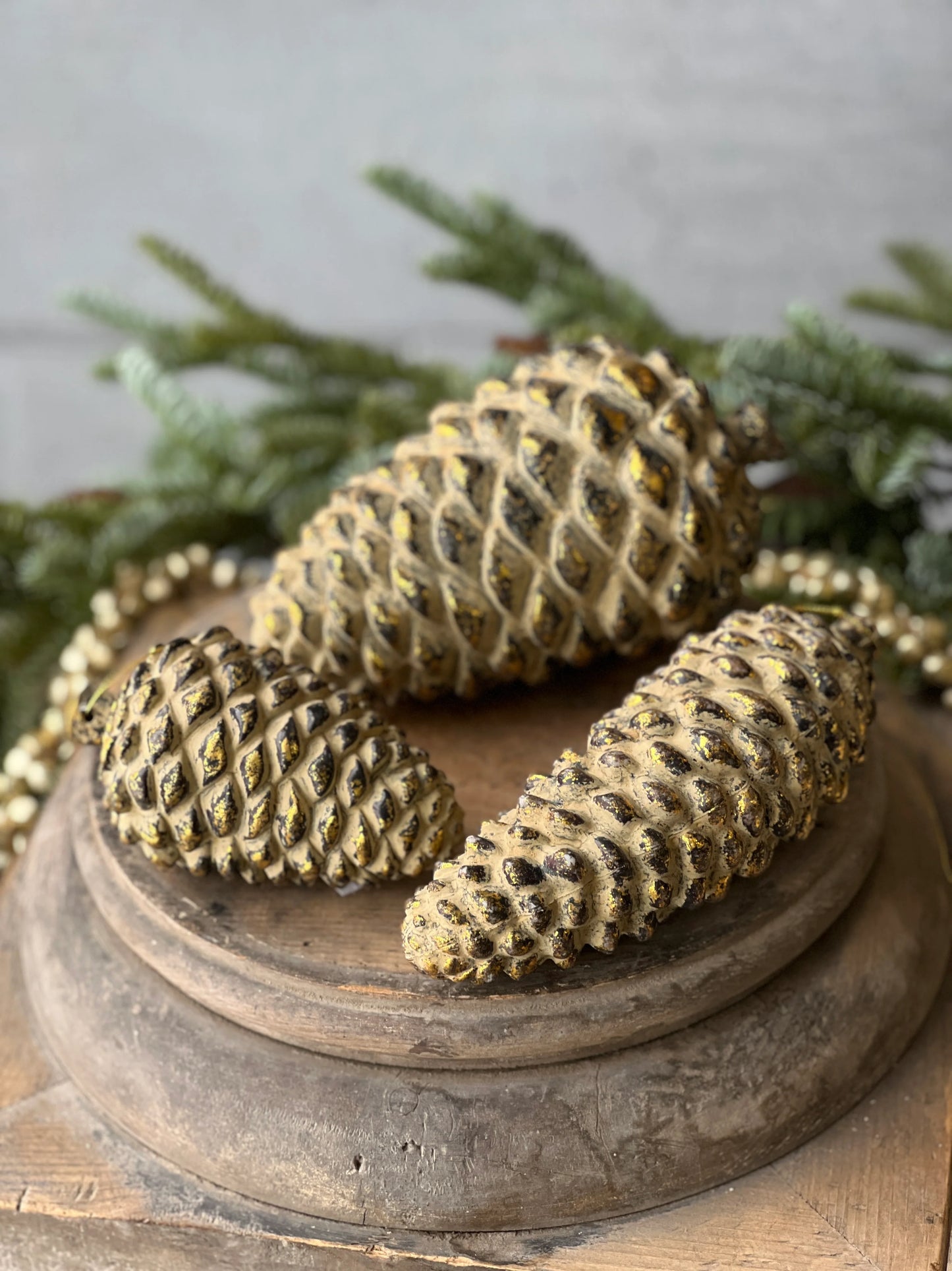 pinecone
