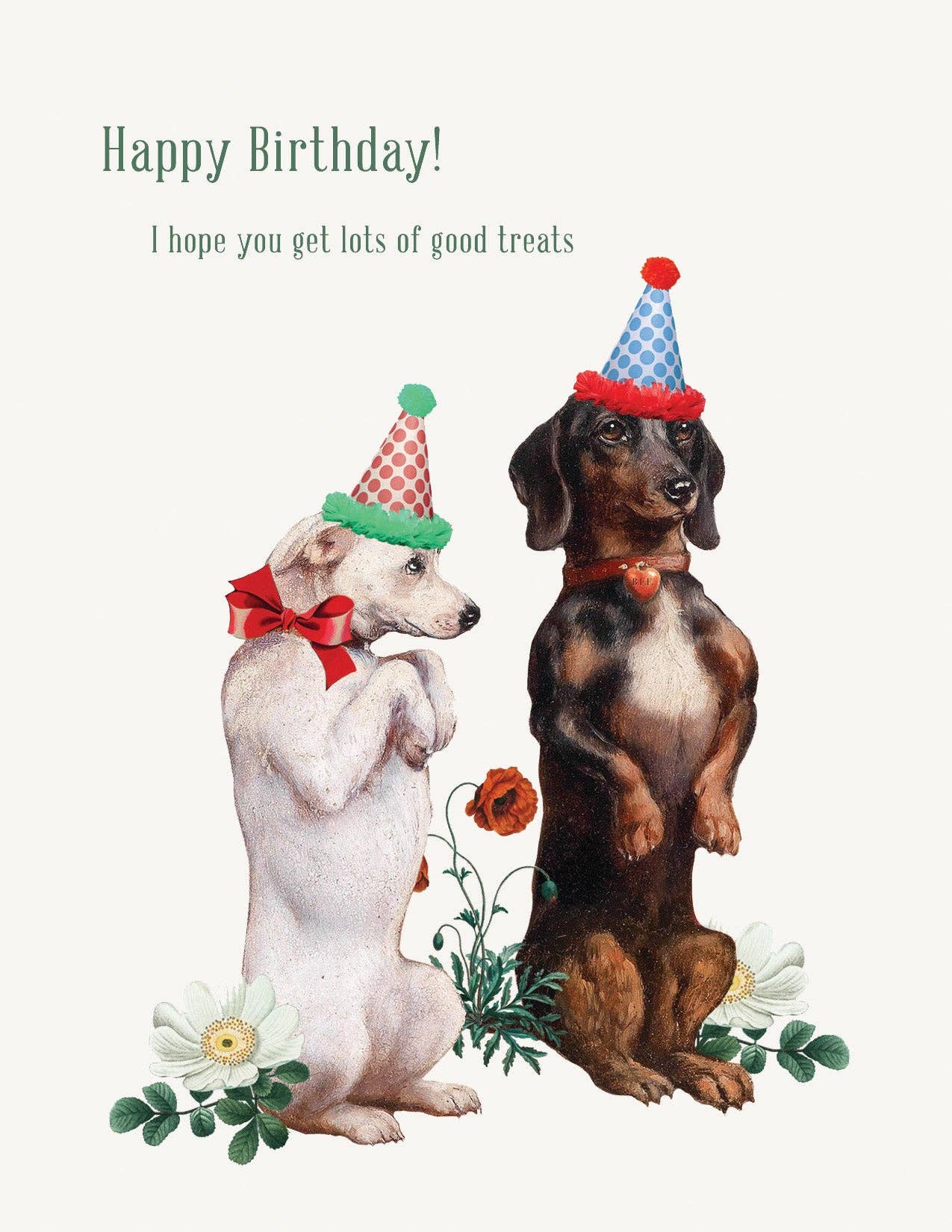 Happy Birthday you deserve lots of treats A-2 Greeting