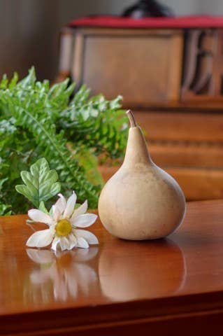 4" Martin Dried Hard Shell Gourd - For Decorating & Crafting