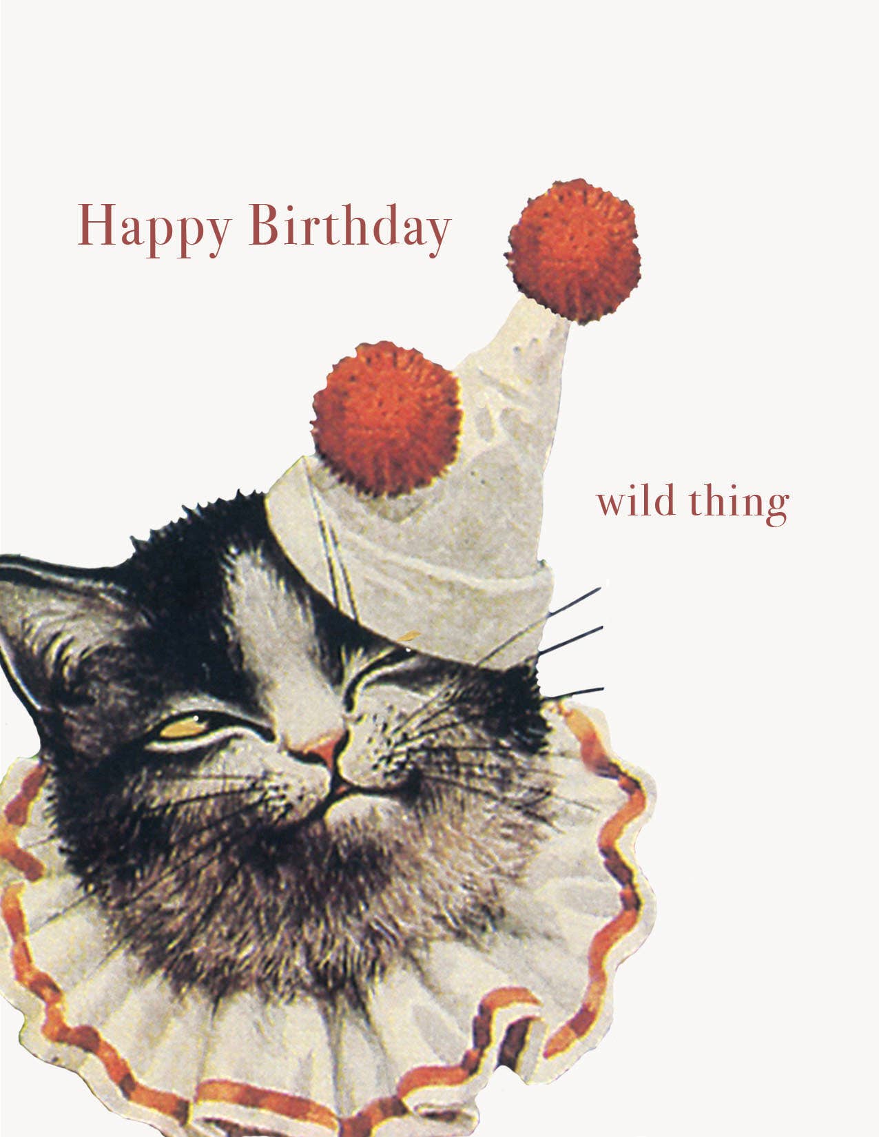 Happy birthday wild thing A2 Greeting card