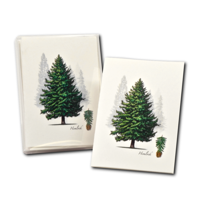 Hemlock Notecard Set on Recycled Paper