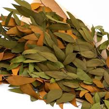 Gold & Olive Faux Eucalyptus Bundle