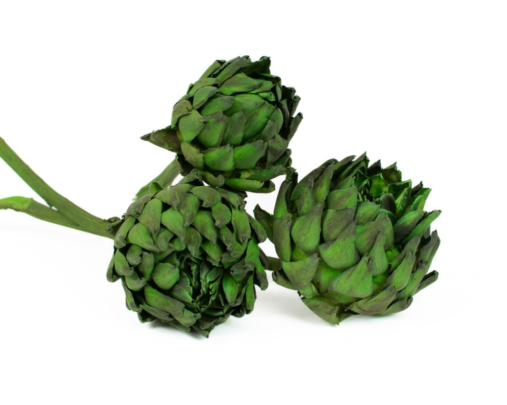 Preserved artichokes