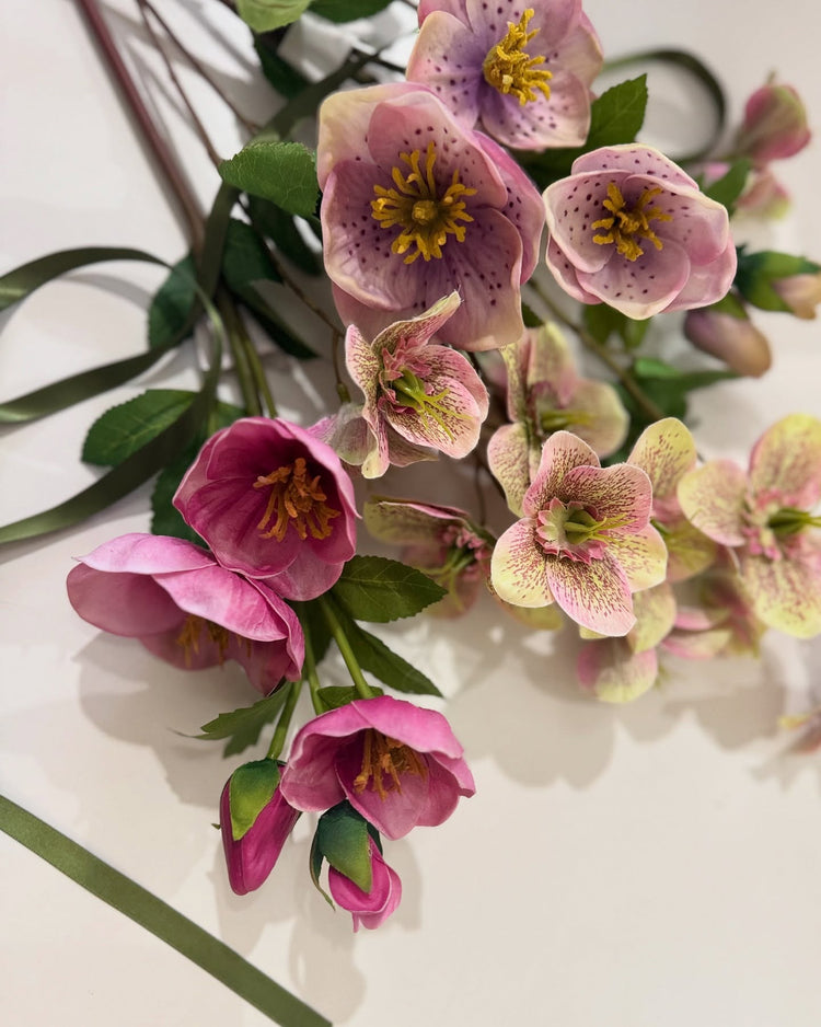 collected botanicals