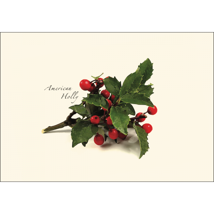 American Holly Assortment.