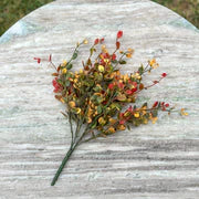 Pimpernel Bush