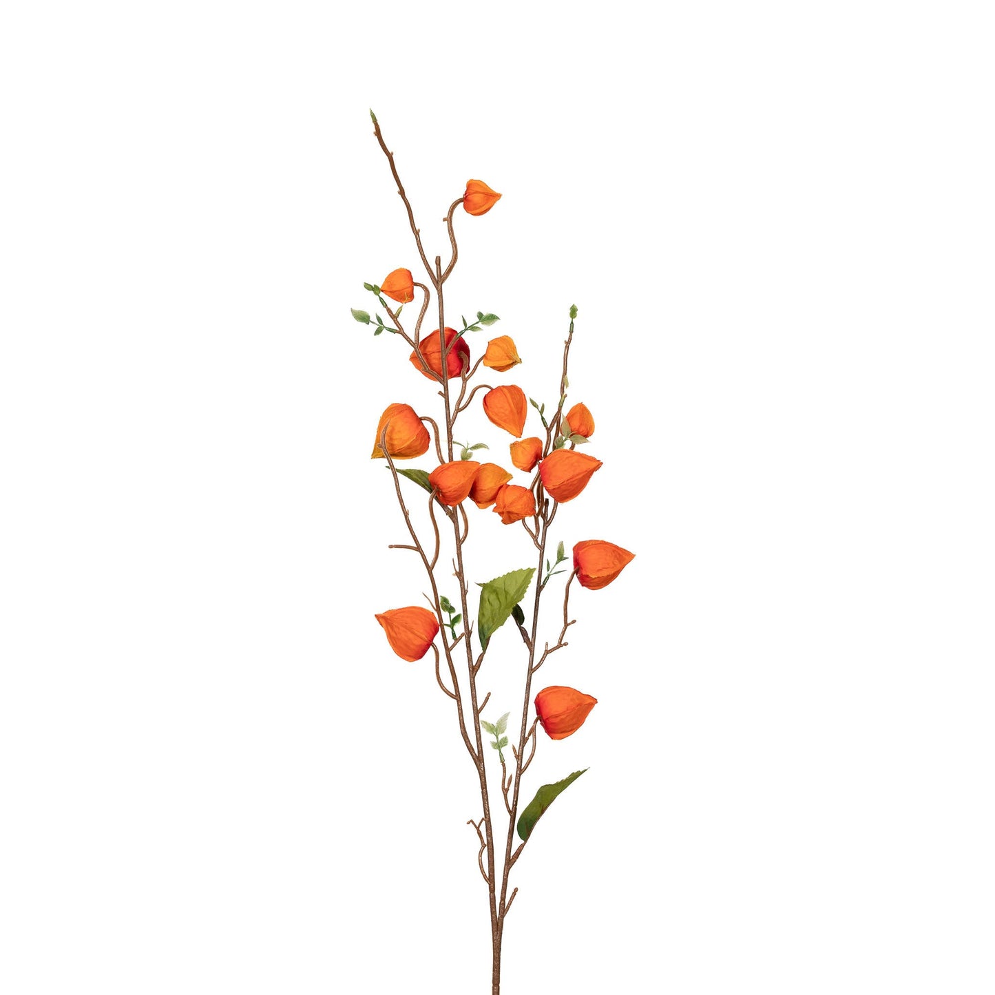 Japanese Lantern Stem - 34 Inch