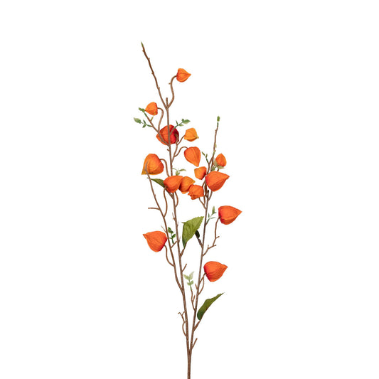 Japanese Lantern Stem - 34 Inch