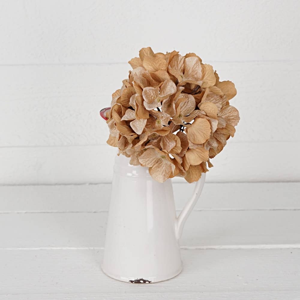 Teastain Hydrangea