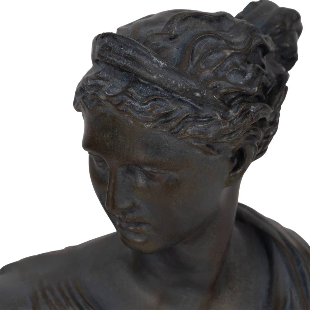Aged Classical Bust Sculpture.