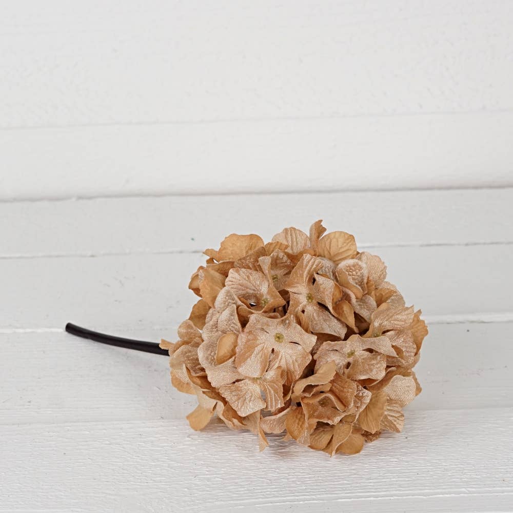 Teastain Hydrangea