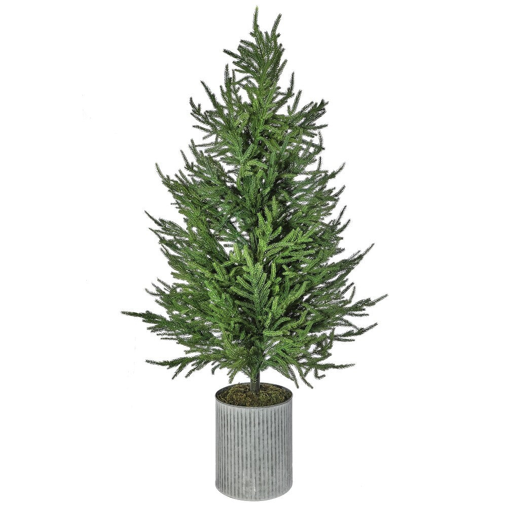 Pine Tree- 28" Potted Norfolk