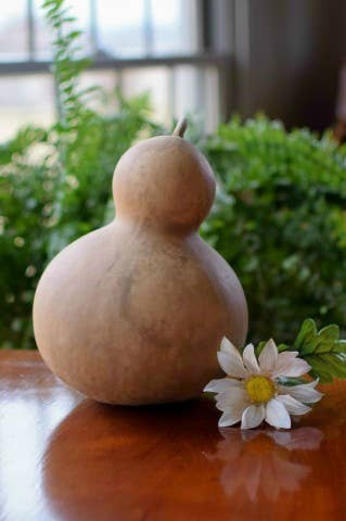 7" Bottle Dried Hard Shell Gourd - For Decorating & Crafting