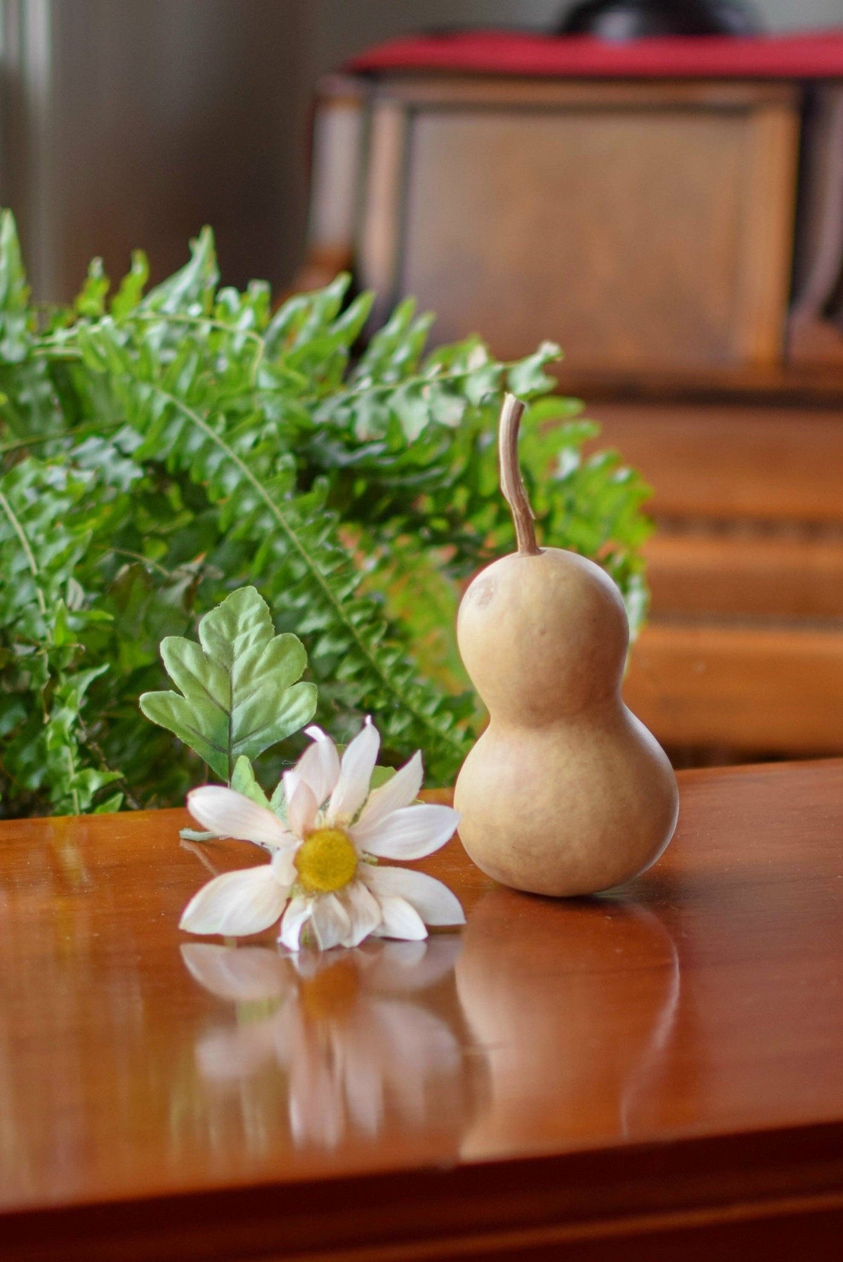 3" Bottle Dried Hard Shell Gourd - For Decor & Crafting