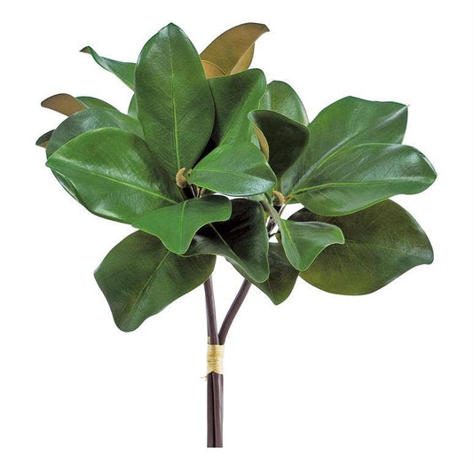 Magnolia Leaf Bundle, 18", Green
