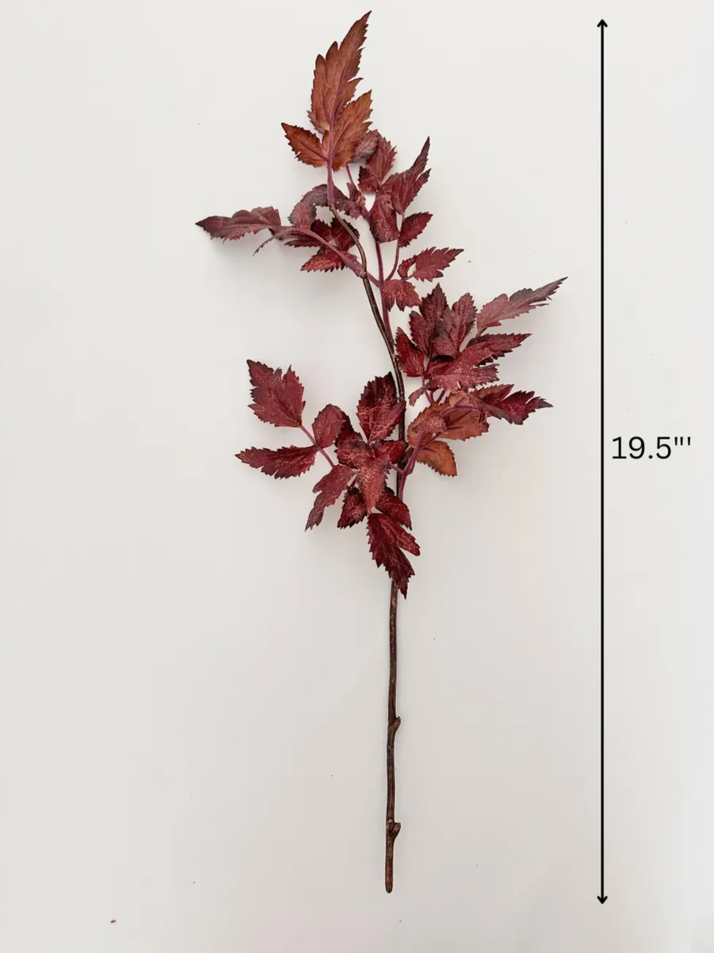 Faux Plum Cimicifuga Ramosa Leaf Spray - 19.5"