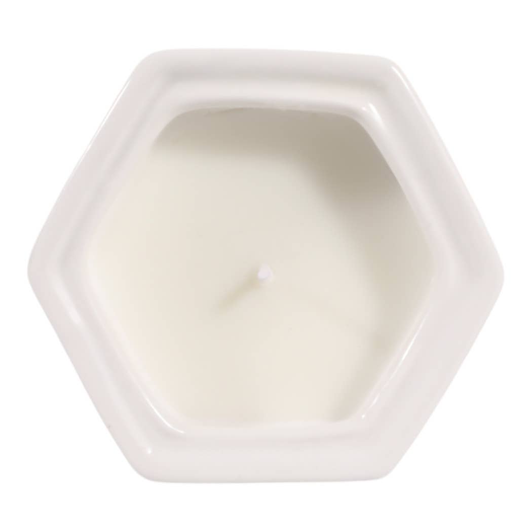 Scented Candle - Sage & Eucalyptus Brown Ceramic, 6 Oz