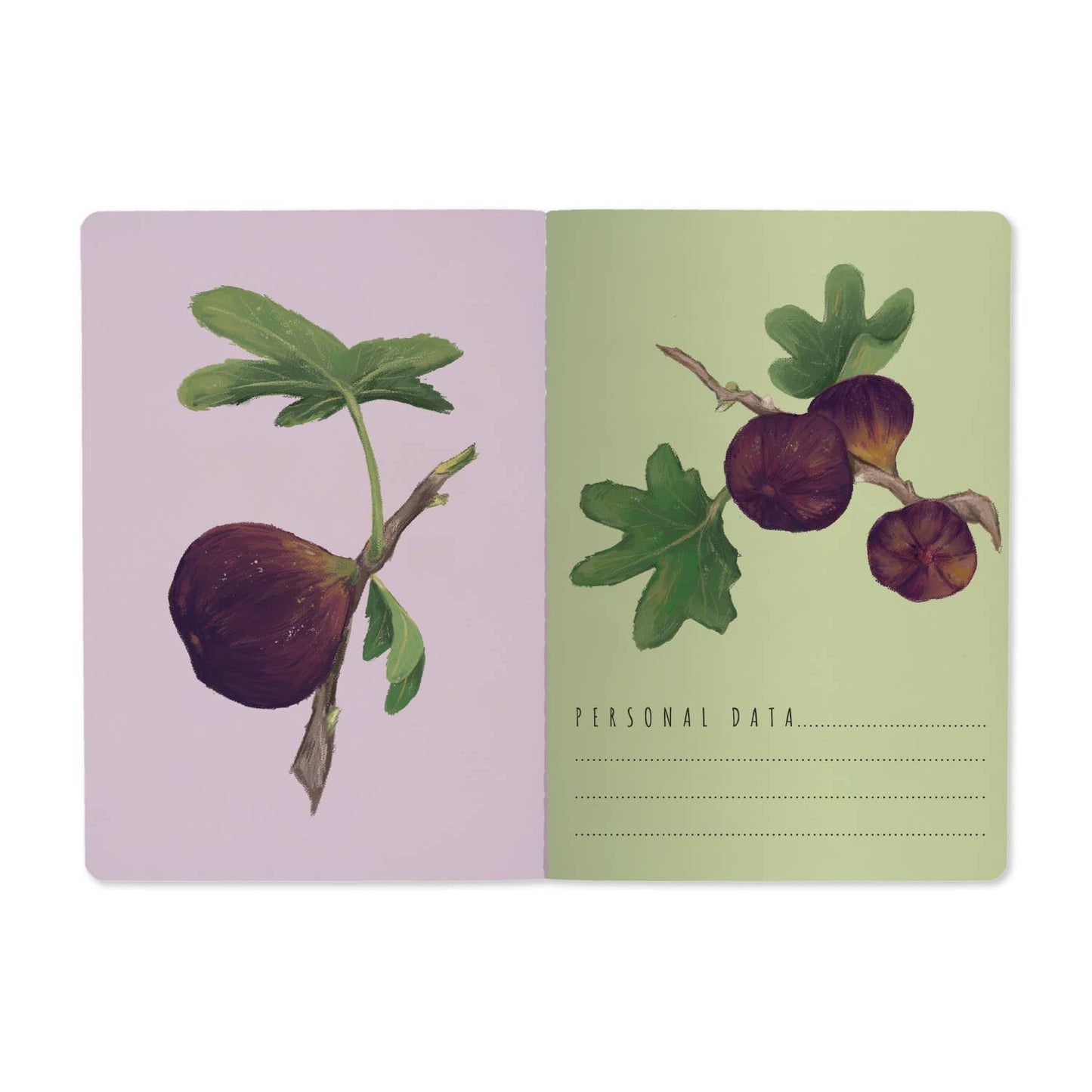 Notebook -Figs on White 