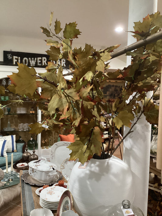 Maple Leaf Branch