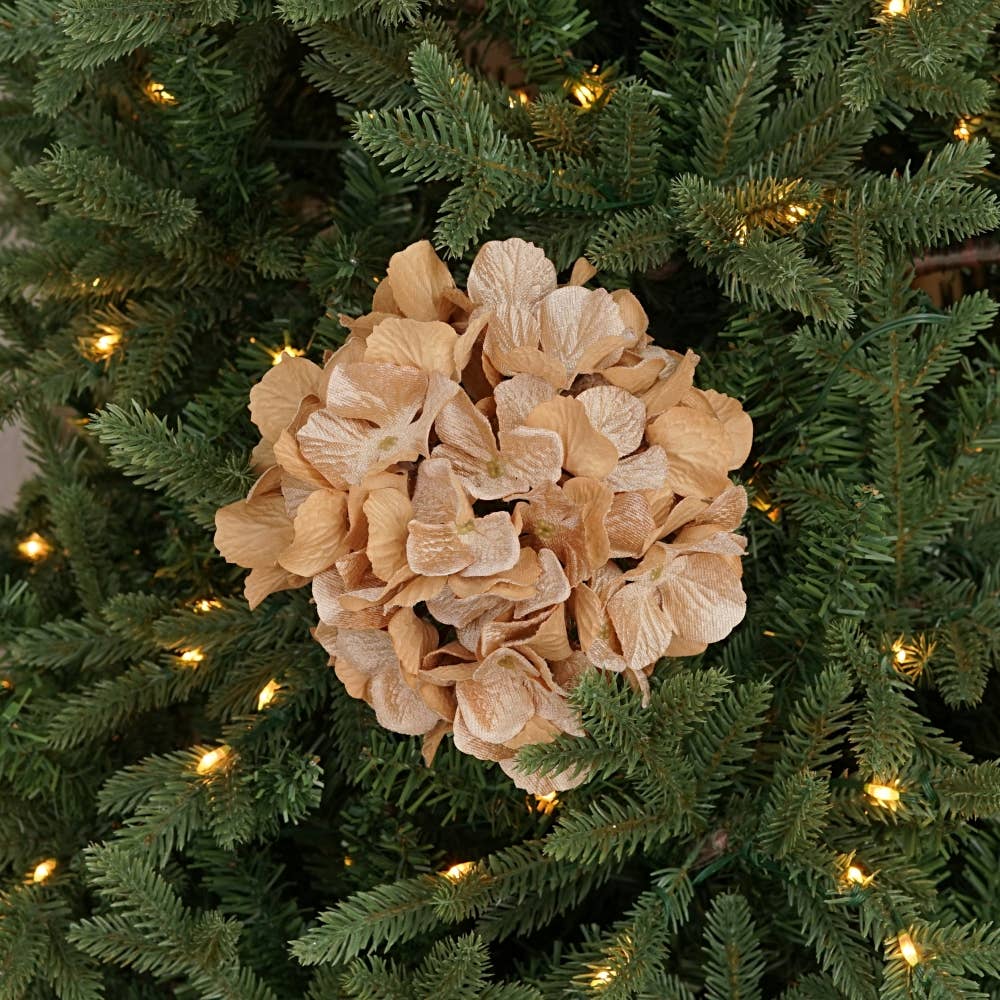 Teastain Hydrangea