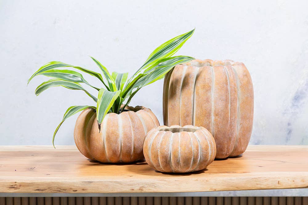 Cement Pumpkin Planter: Small Low (5.5"W)