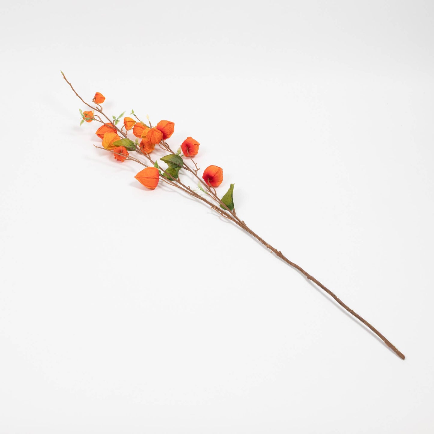 Japanese Lantern Stem - 34 Inch