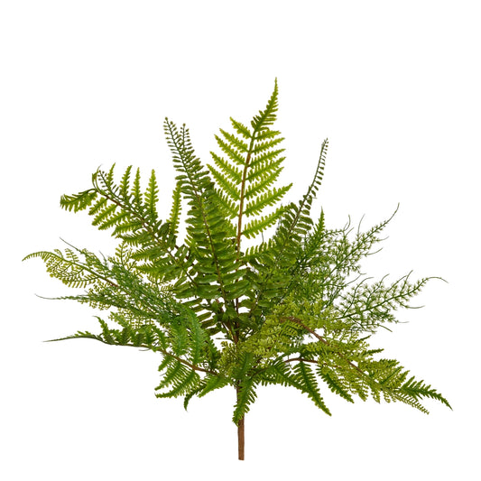 Fern Bush- 18.5"