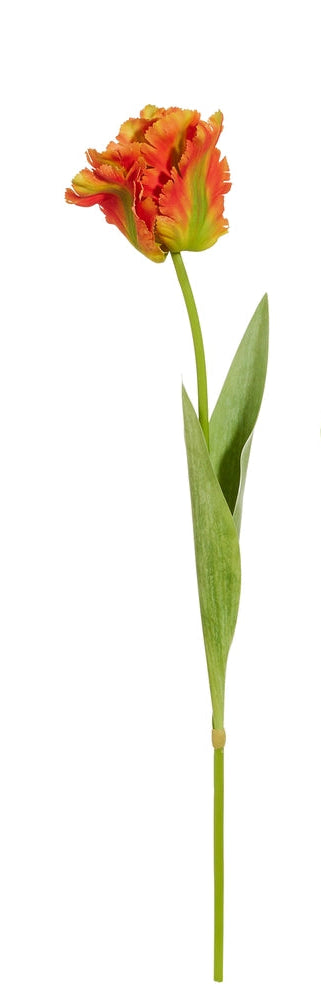 Real Touch Orange/ Yellow Parrot Tulip Stem- 28"
