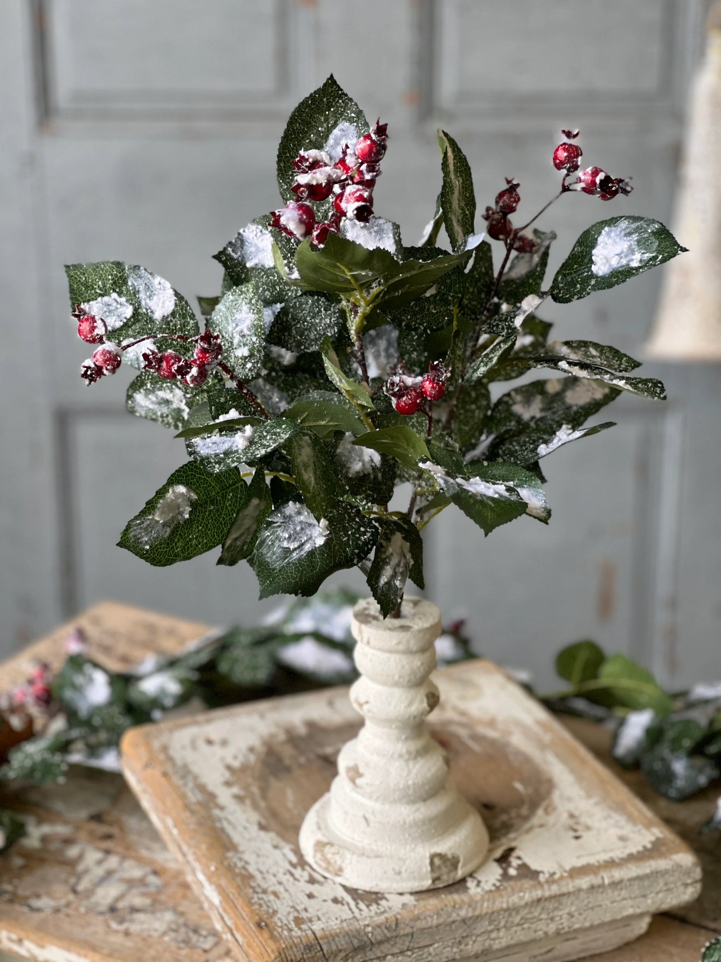 16" Wintry Salutations Bush