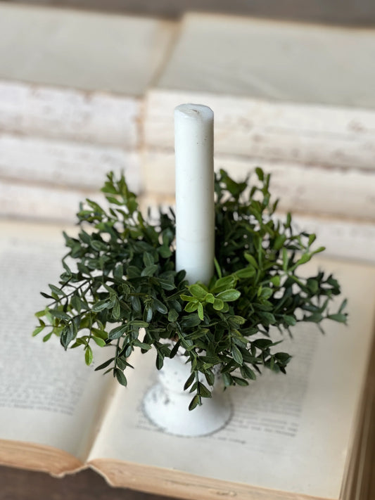 boxwood candle ring