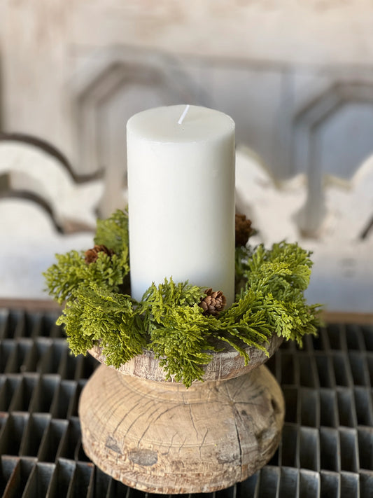 leyland cypress candle ring
