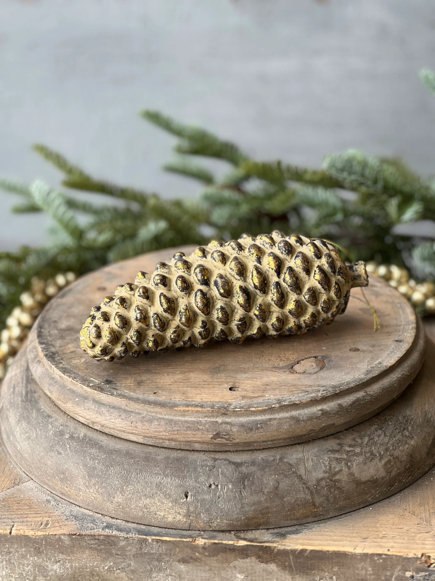 pinecone