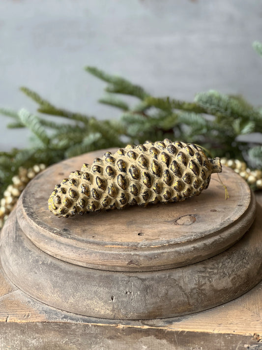 pinecone
