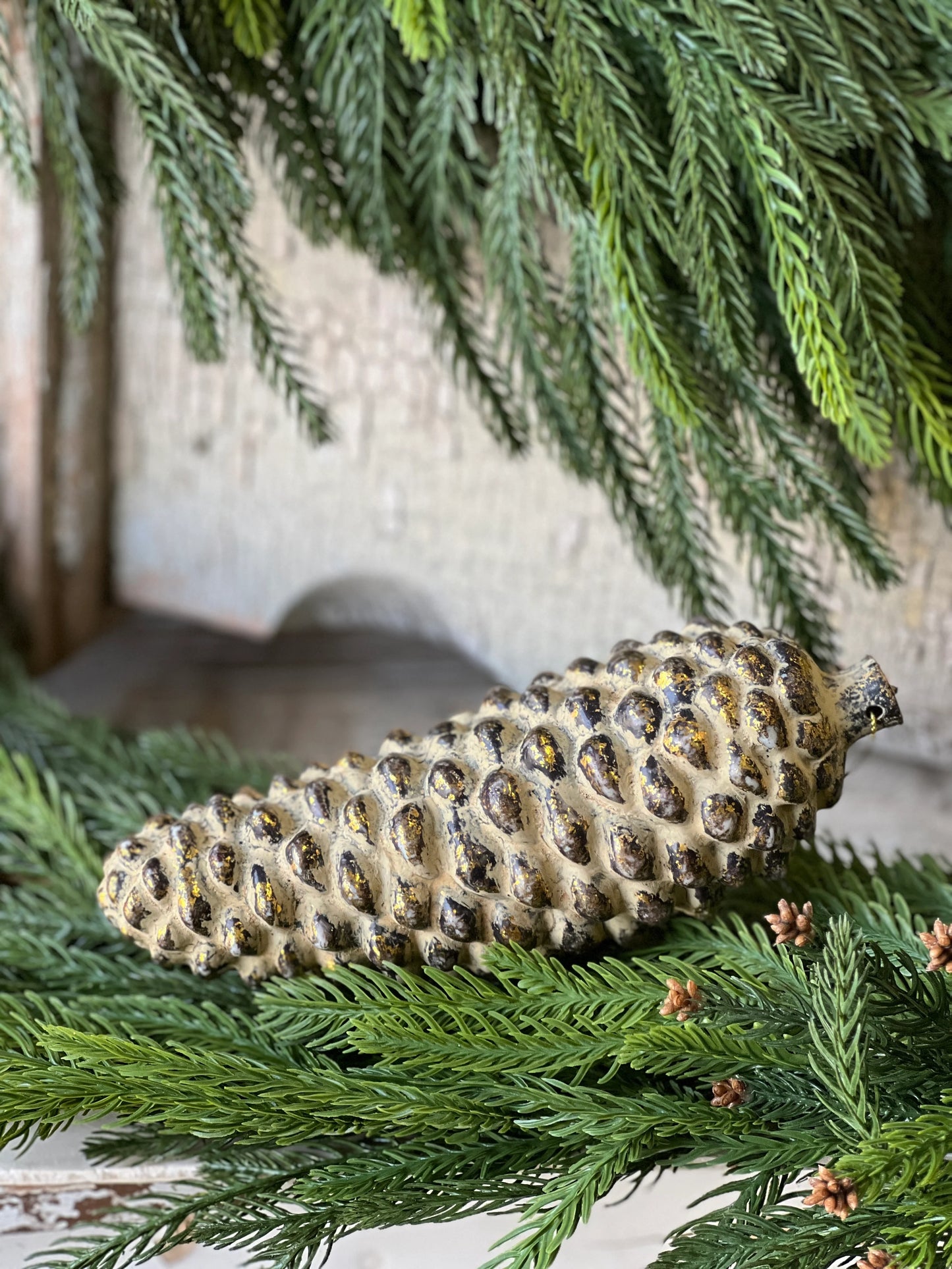 pinecone