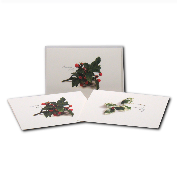 American Holly Assortment.