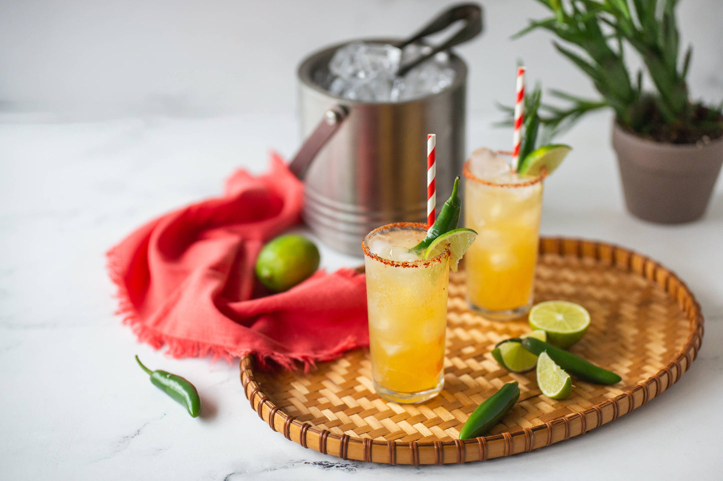 Cocktail / Mocktail Drink Mixers