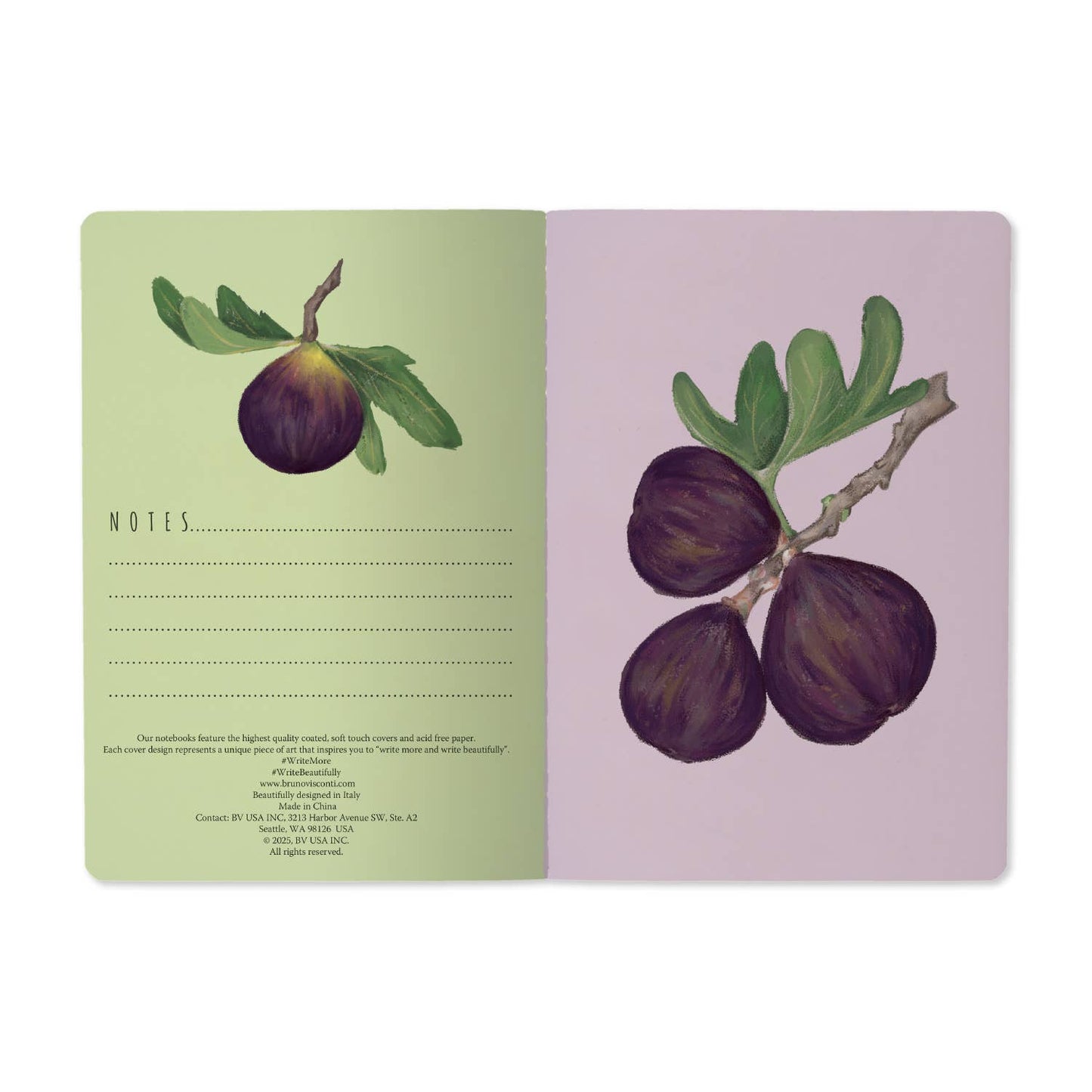 Notebook -Figs on White 