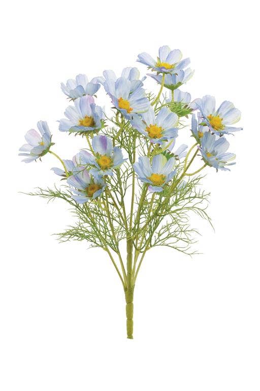 Cosmos Bush, 22", Blue,