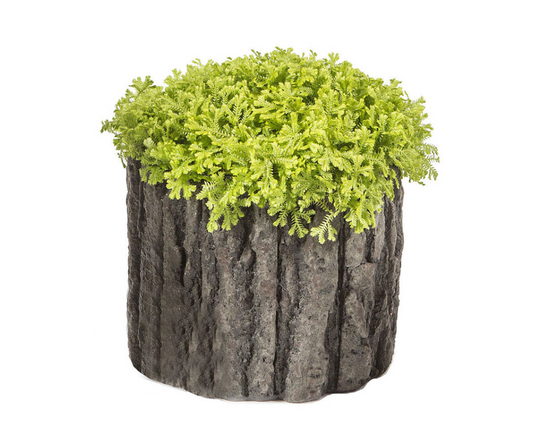 Bark Planter