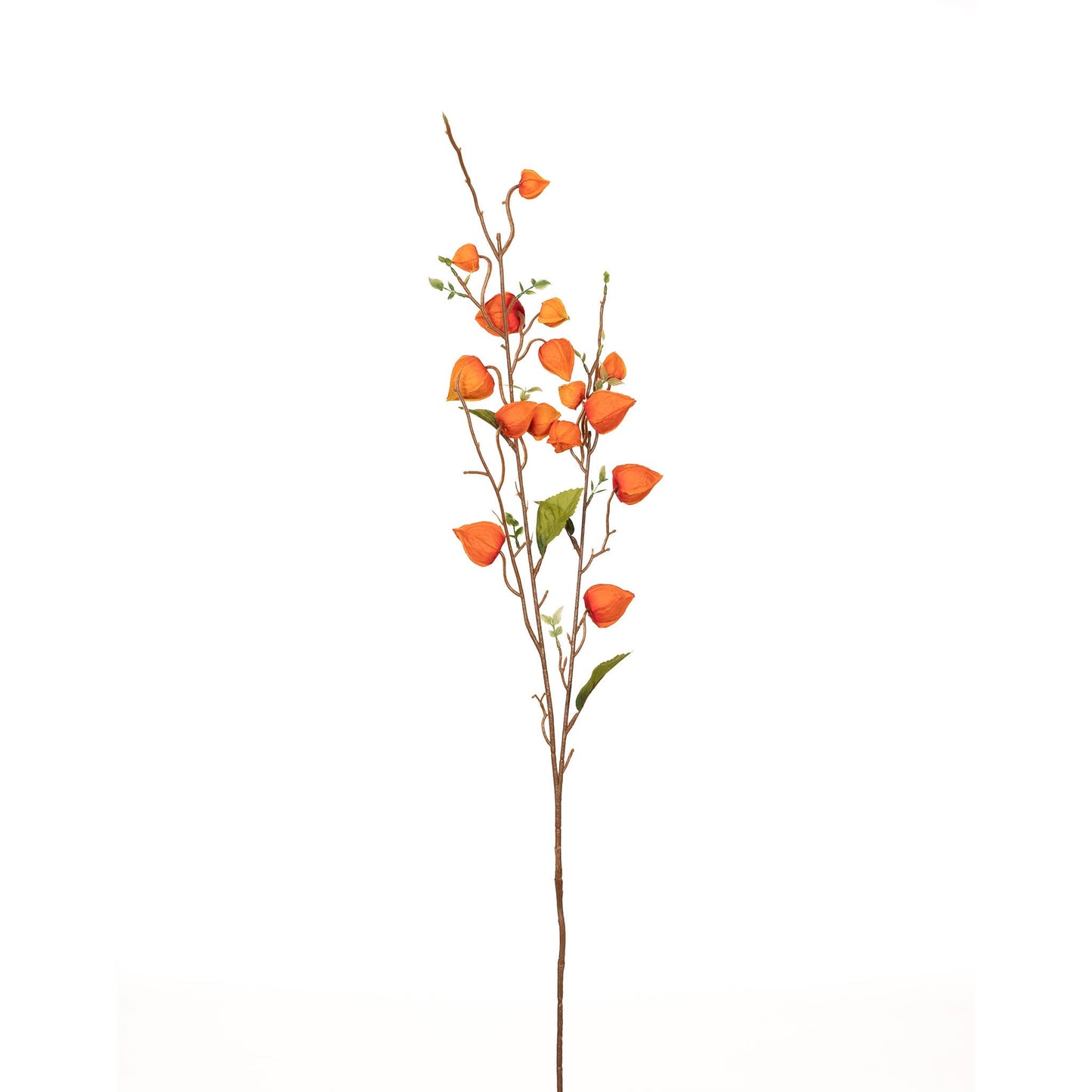 Japanese Lantern Stem - 34 Inch