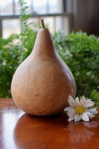 7" Martin Dried Hard Shell Gourd - For Decorating & Crafting